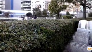 今日子极品肉臀学生露出